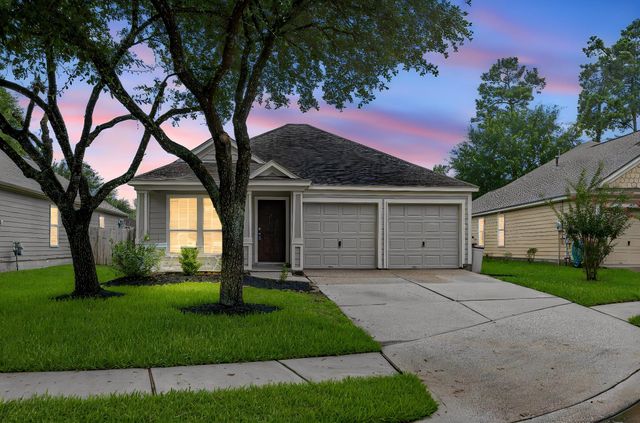17215 Kobuk Valley, Humble, TX, 77346