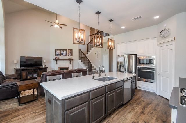  2703 Ripe Amber Cup Ct, Richmond, TX 77406
