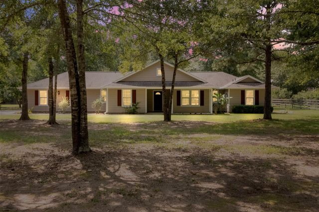 17302 Coachwhip, Waller, TX, 77484