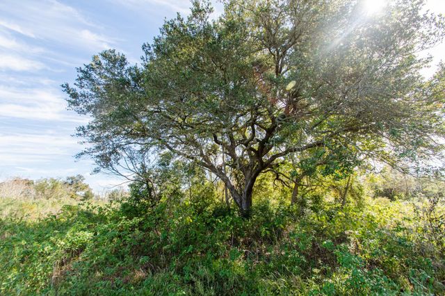 TBD Highway 36, Jones Creek, TX, 77541