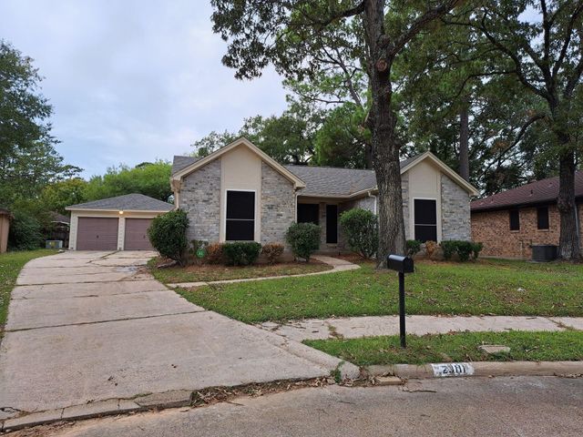 23111 Lone Wolf, Spring, TX, 77373