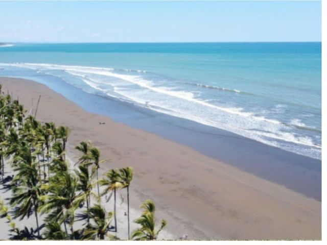 Ave Coco Beach, Puerto Armuelles