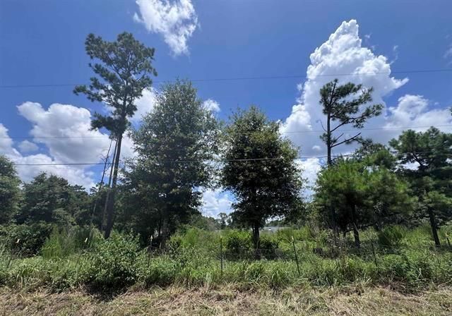 426 County Road 1420, Warren, TX, 77664