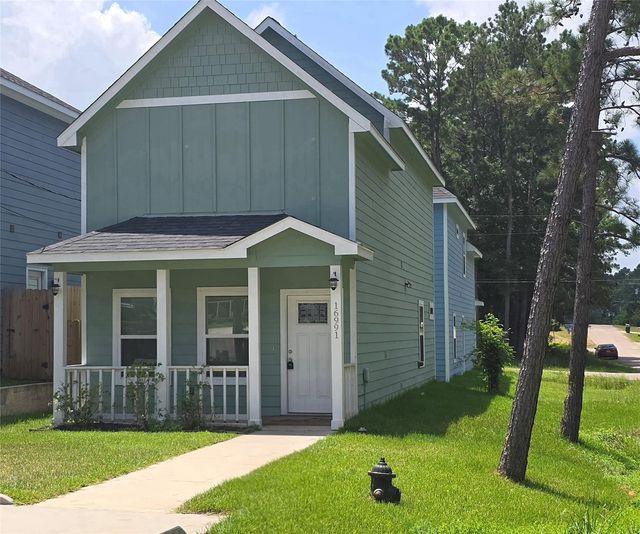 16991 W Dounreay, Montgomery, TX, 77316