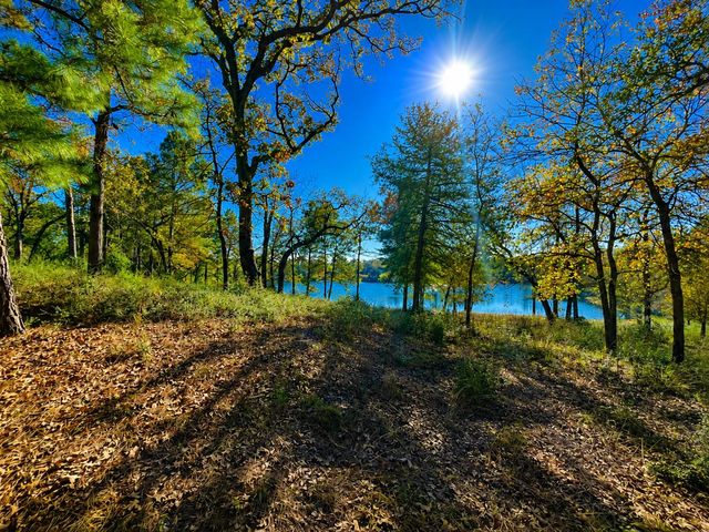 TR 112 Pr 1313, Centerville, TX, 75833