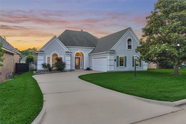  15 Newberry Ct, Montgomery, TX 77356