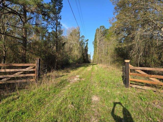 12A Mills, Richards, TX, 77873