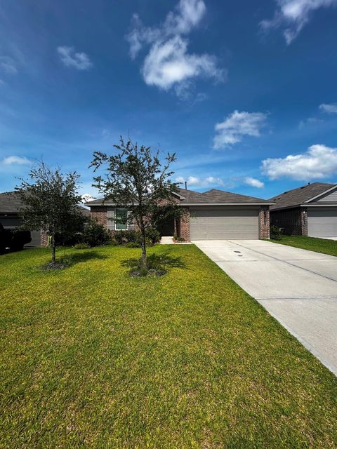 40515 Crisp Beech