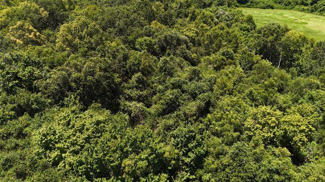 TBD County Road 42 Lots 2A5-2A6, Rosharon, TX, 77583