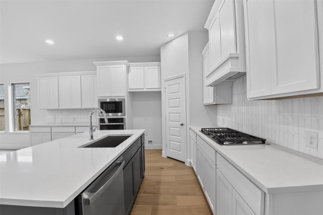 27330 Scarlet Paint Brush Dr, Hockley, TX, 77447