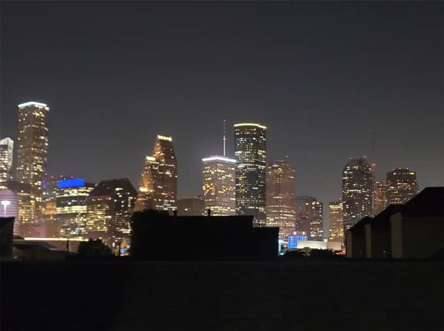 1413 Holly, Houston, TX, 77007