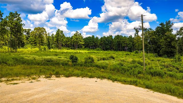00 Bonfire Bend, Livingston, TX, 77351