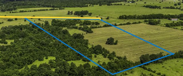 10265 FM 1774 Tract B1, Plantersville, TX, 77363