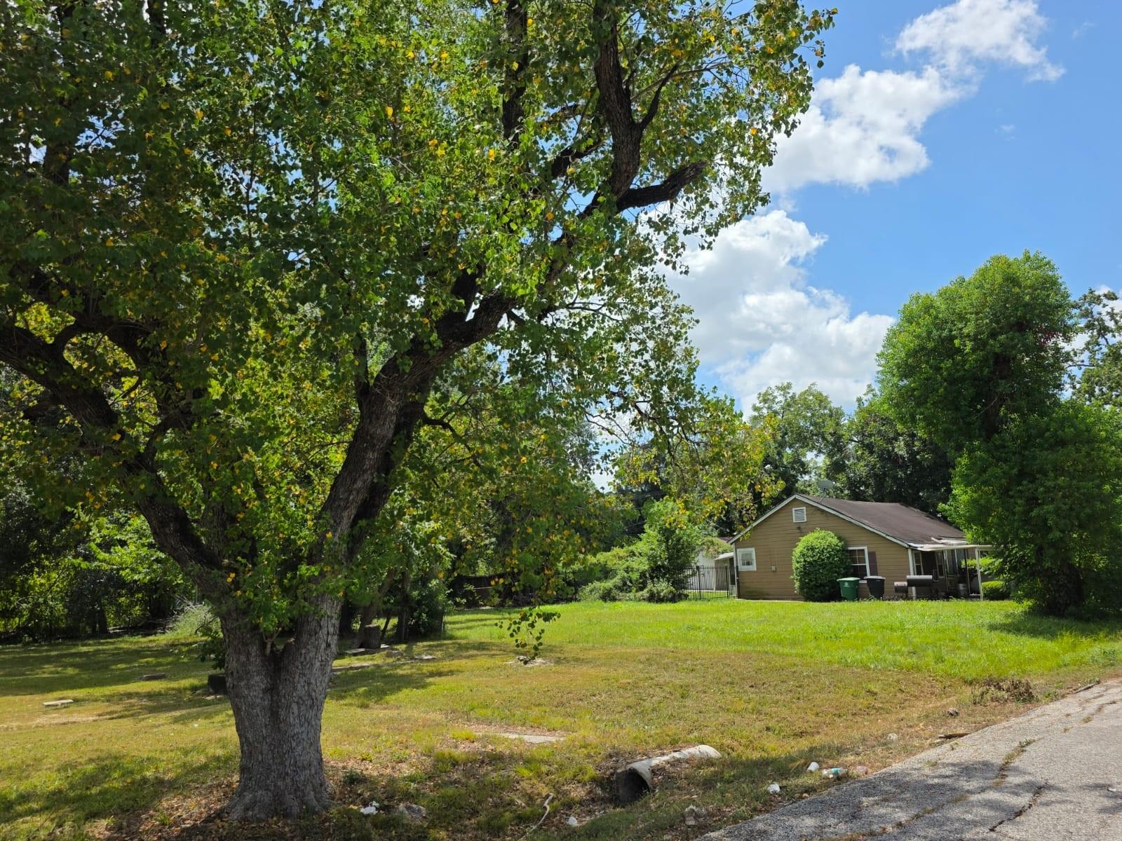 6821 Beachwood St listing photo 8
