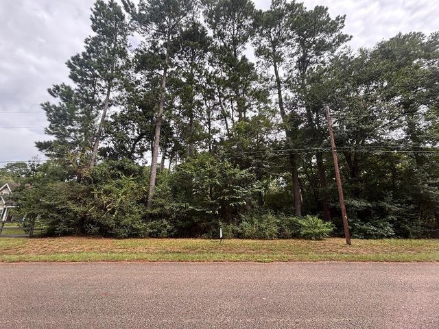 Lot 126 Fantail Street, Magnolia, TX, 77355