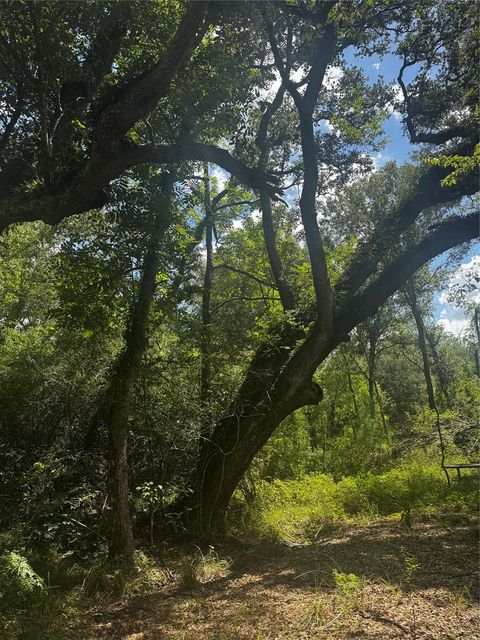 7800 A Brazos River, Damon, TX, 77430