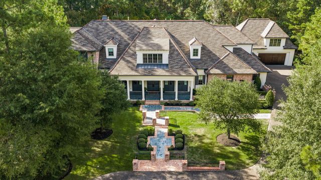 14 Peony Springs Ct, The Woodlands, TX 77382