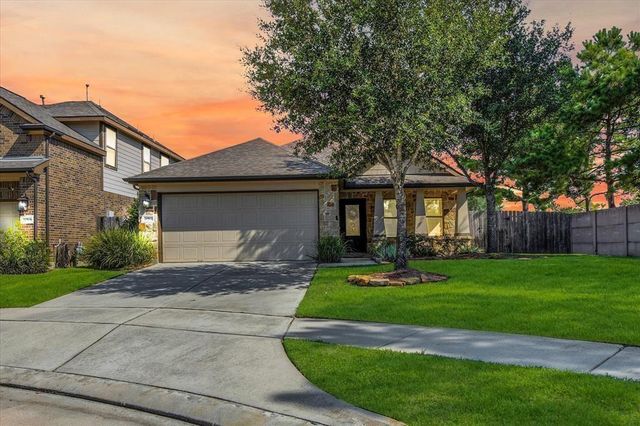 20502 Blue Hyacinth
