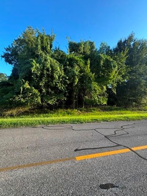 1103 Point, Rosharon, TX, 77583