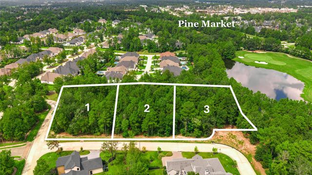 100 Castle Pines, Montgomery, TX, 77316