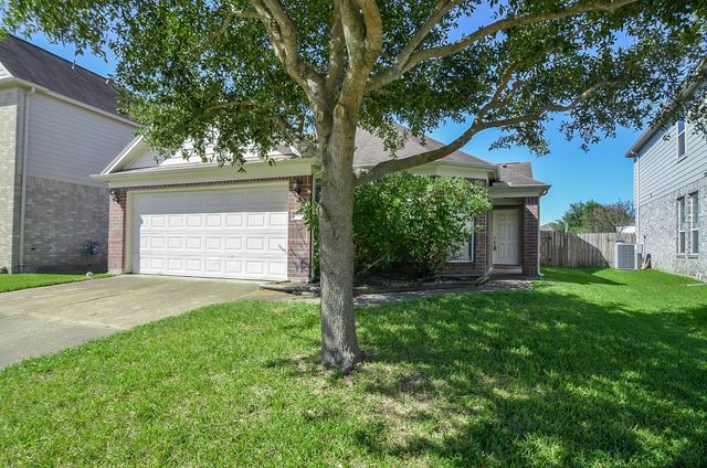 19603 Hancock Oak