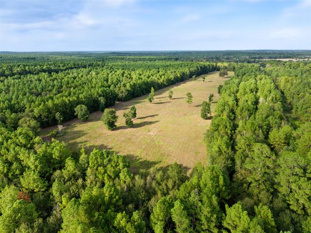 00 FM 980, Huntsville, TX, 77320